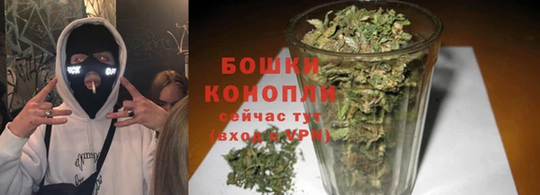 винт Липки