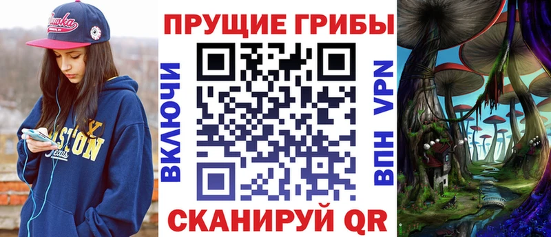 купить закладку  Меленки  Псилоцибиновые грибы прущие грибы 